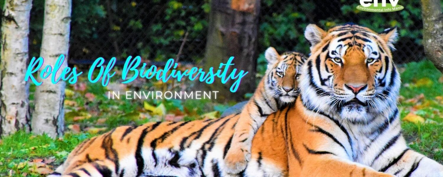 Roles of Biodiversity in Environment