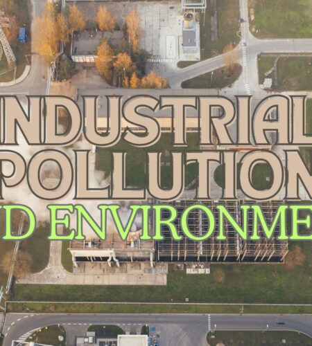 What is the Relation of Industrial Pollution and Environment?