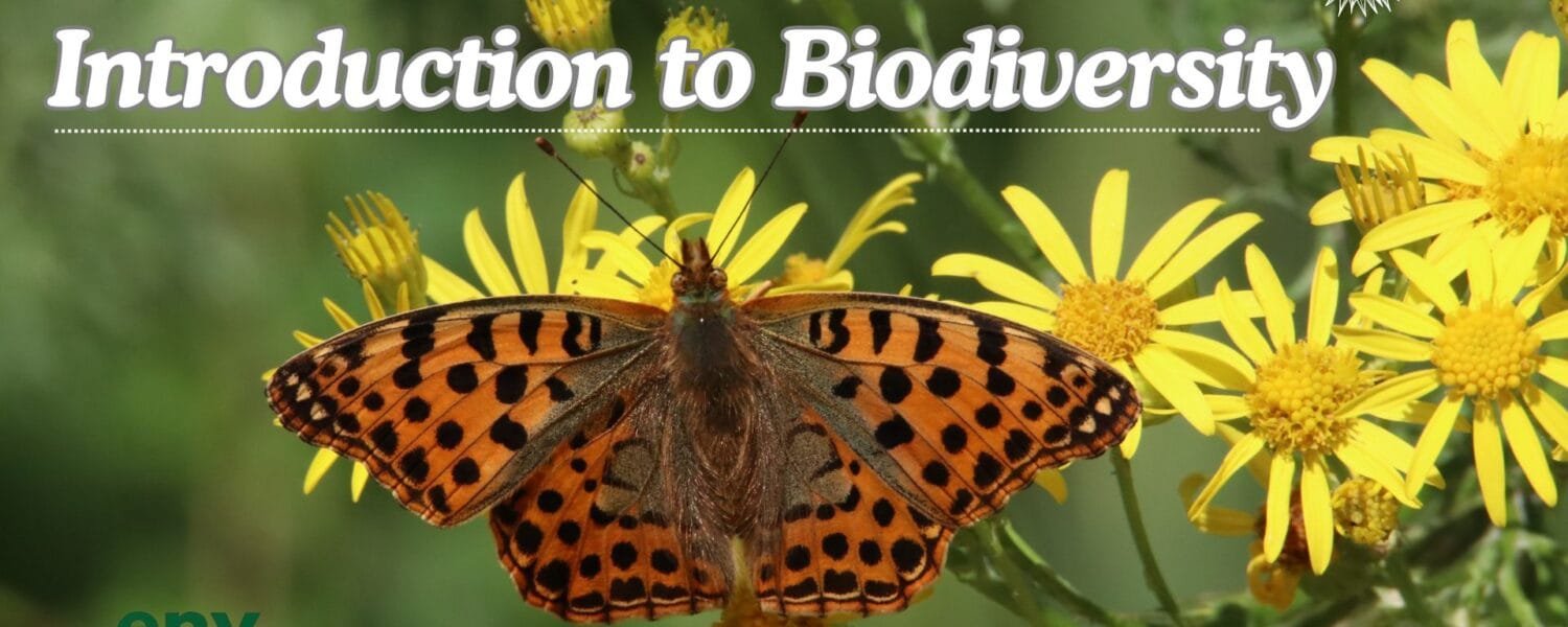 Introduction to Biodiversity