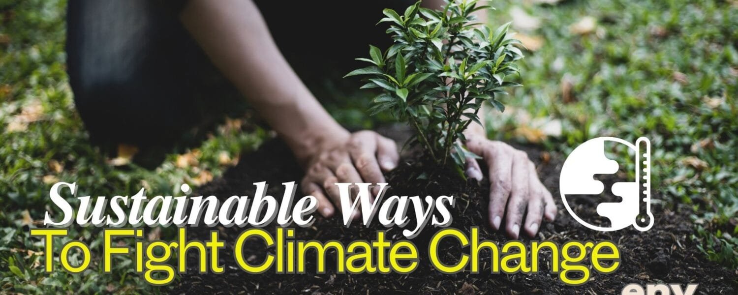 Sustainable Ways to Fight Climate Change