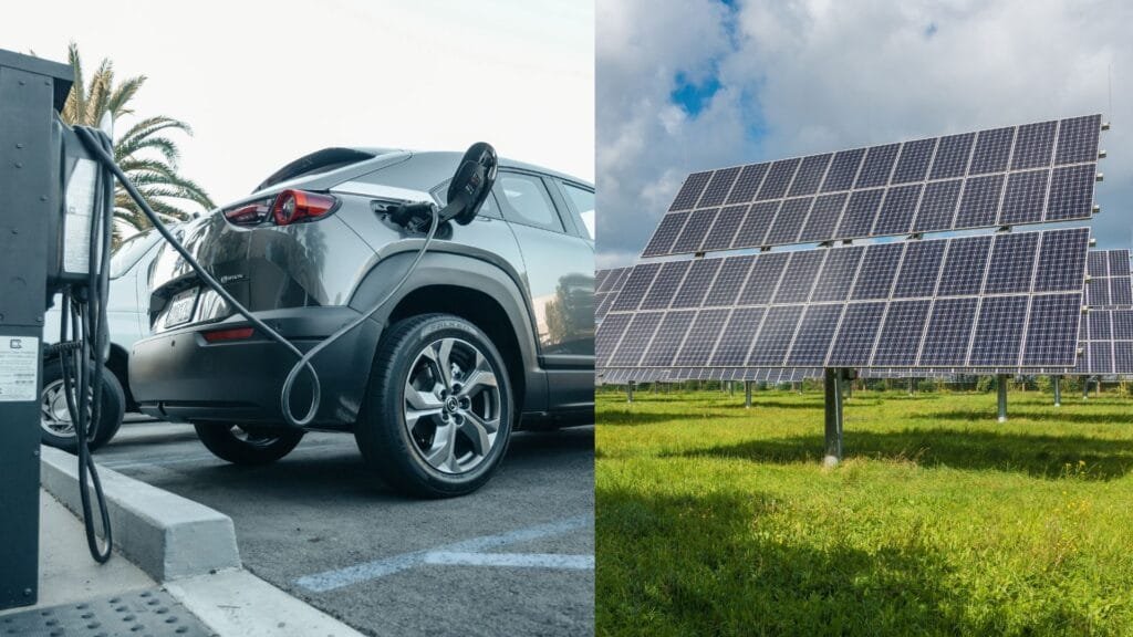 Sustainable Ways to Fight Climate Change