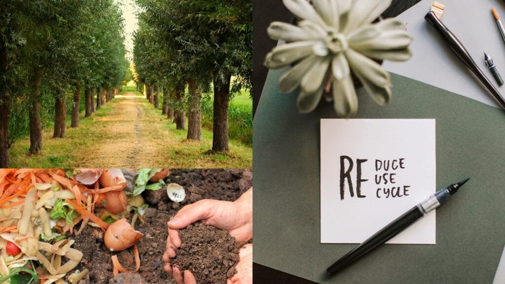 Sustainable Ways