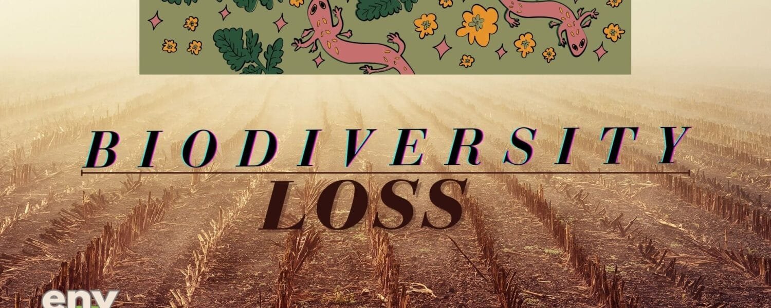 Biodiversity Loss