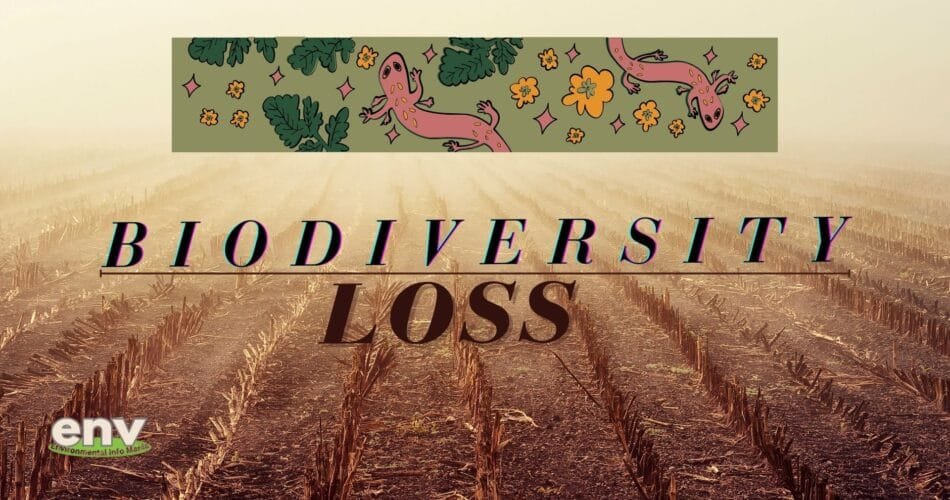 Biodiversity Loss