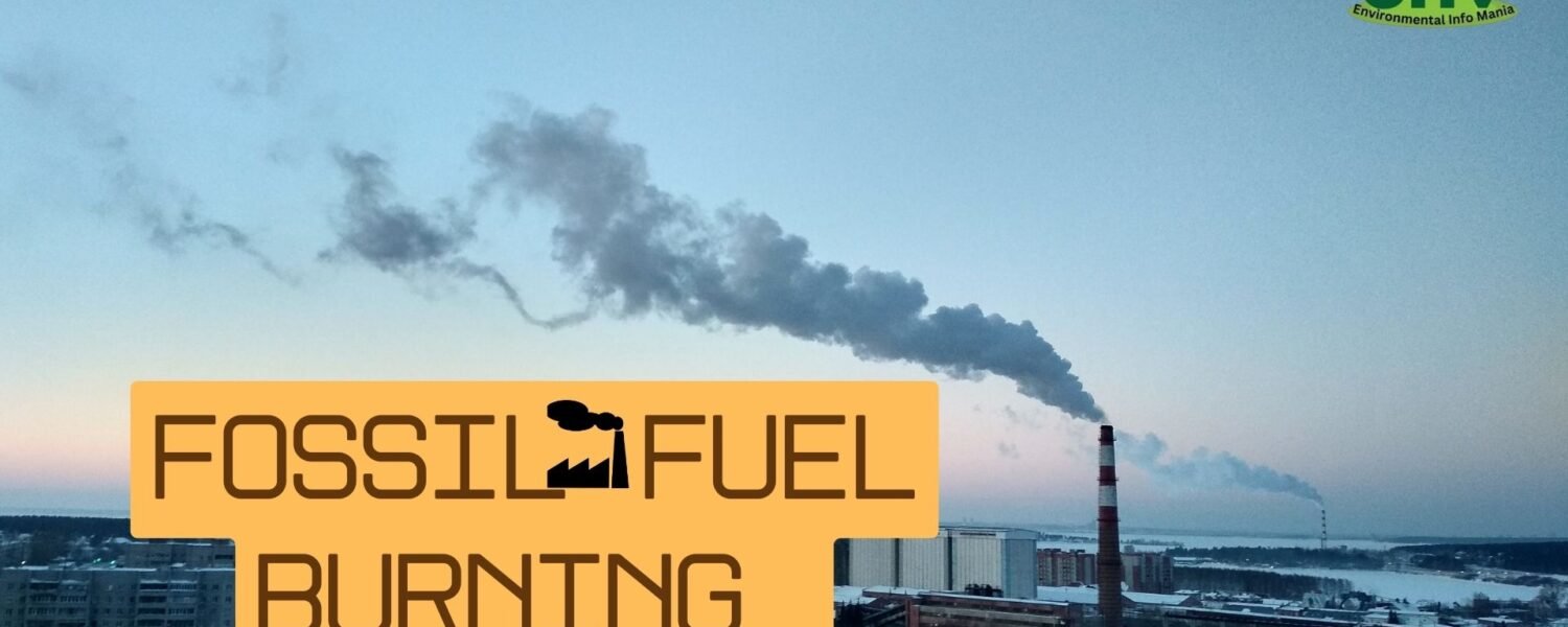 Burning of Fossil Fuel