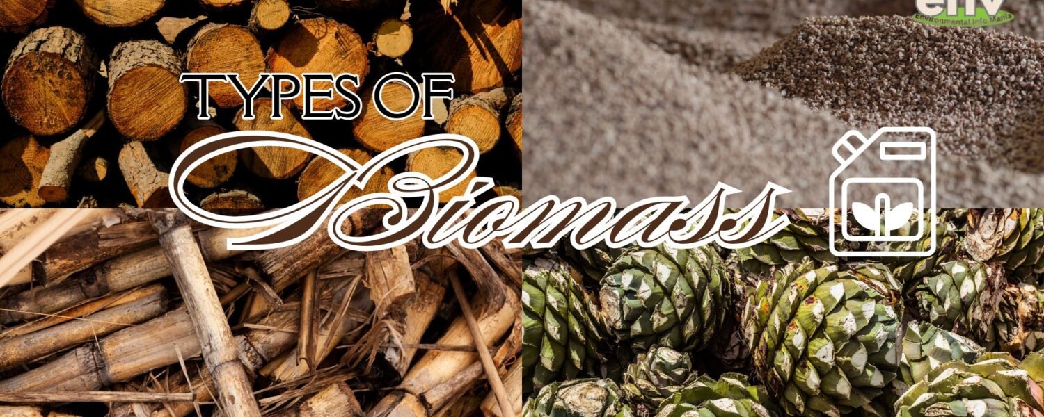 Types of Biomass