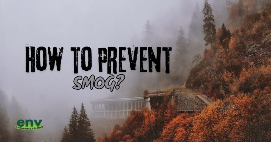 How to Prevent Smog