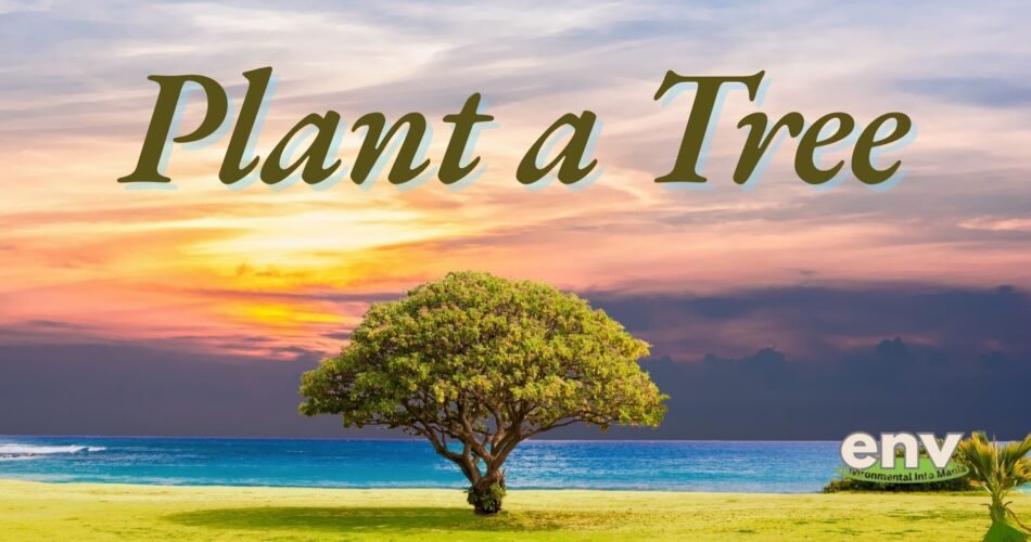 Plant A Tree