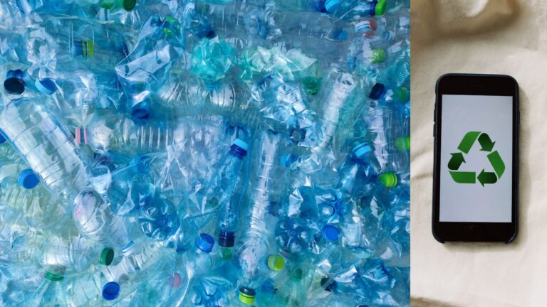 Reduce, Reuse, Recycle and Recover - envinfomania.com