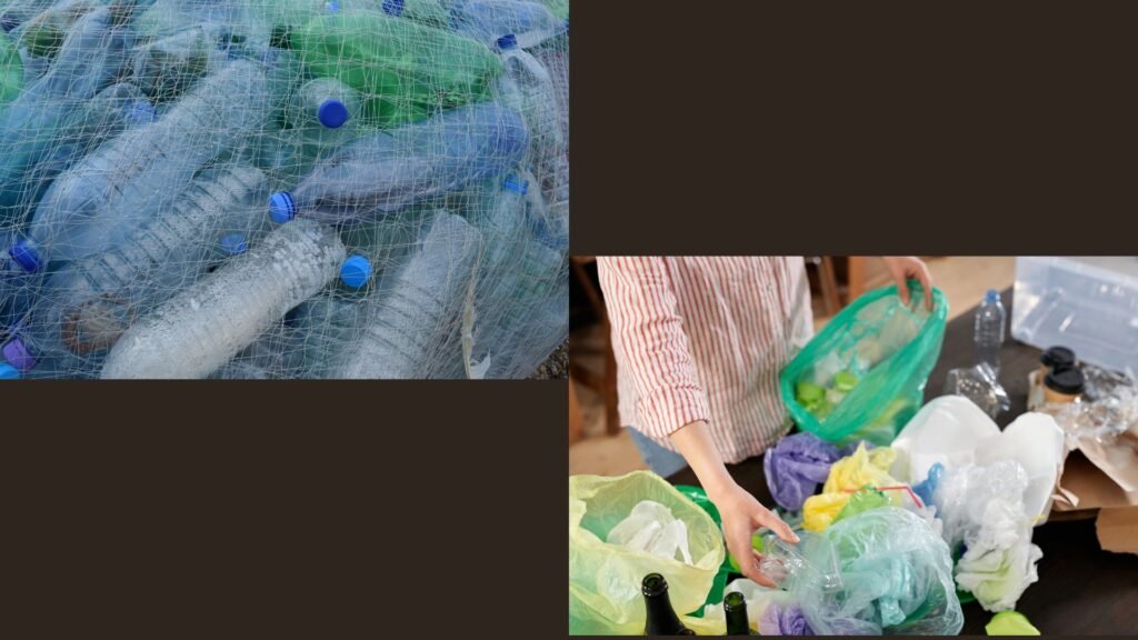 Impacts of Plastic Pollution