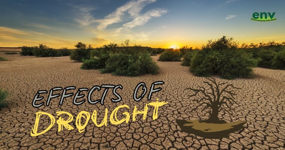 Effects of Drought