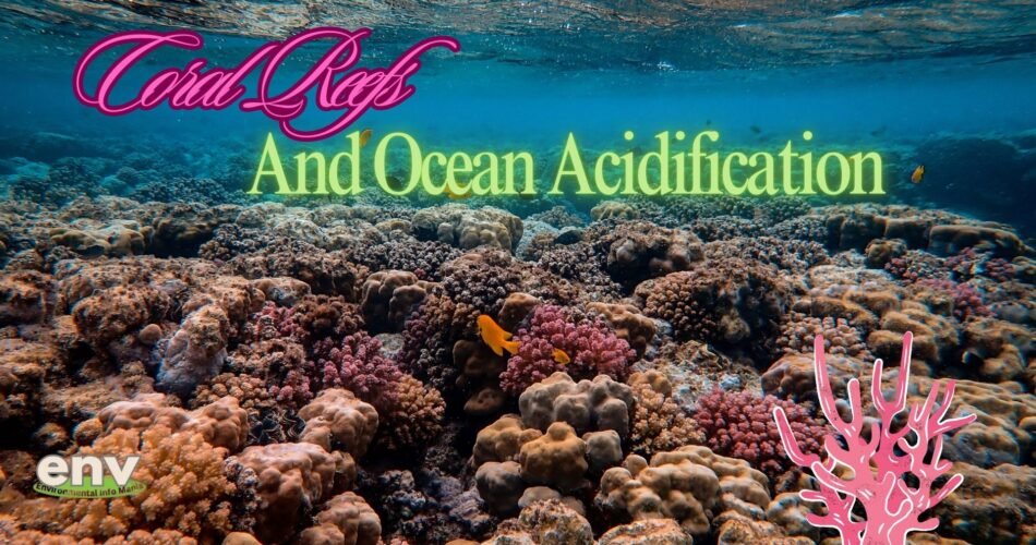 Coral Reefs and Ocean Acidification