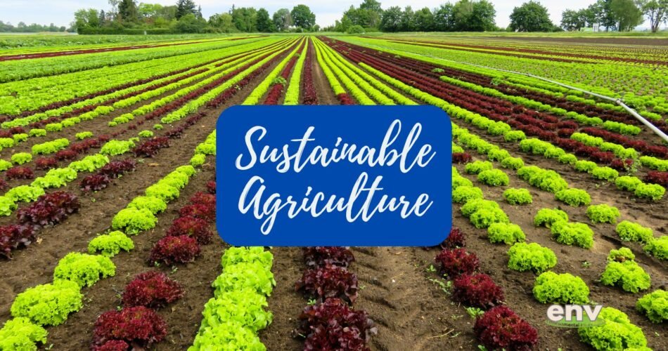 Importance of Sustainable Agriculture