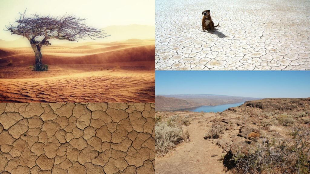 Effects of Drought