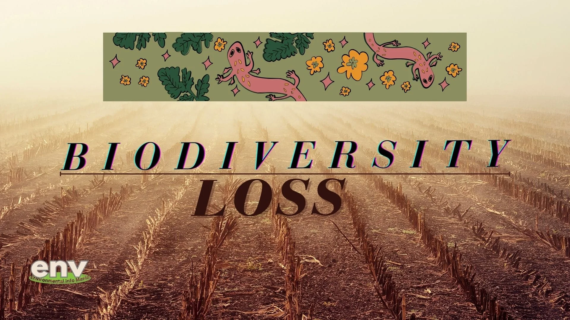 Biodiversity Loss