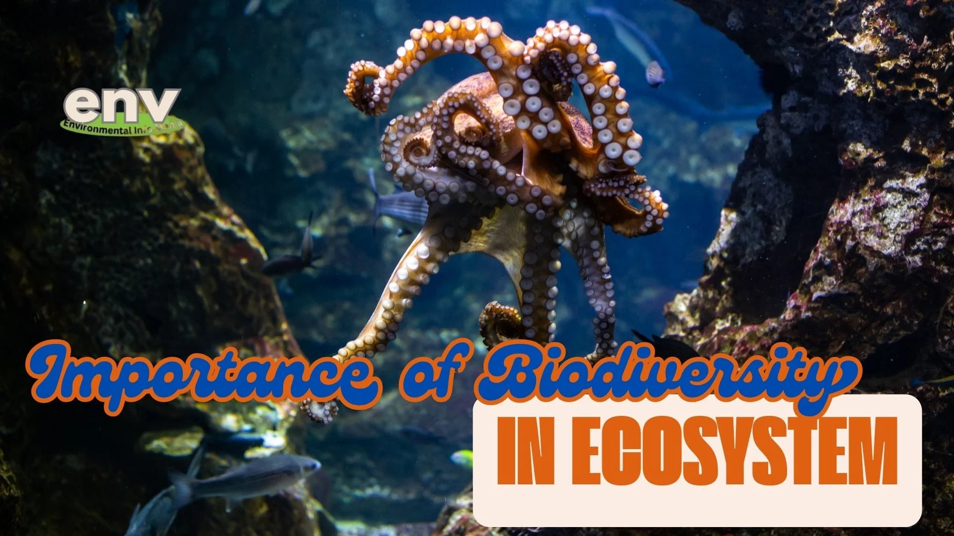 Biodiversity in Ecosystem