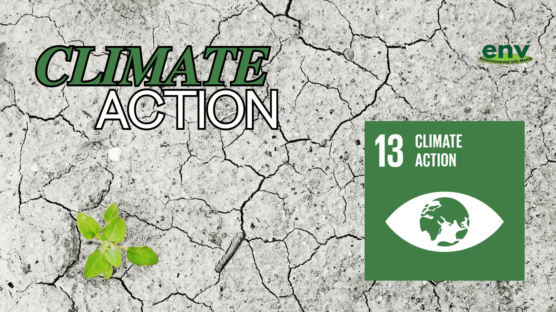 Climate Action