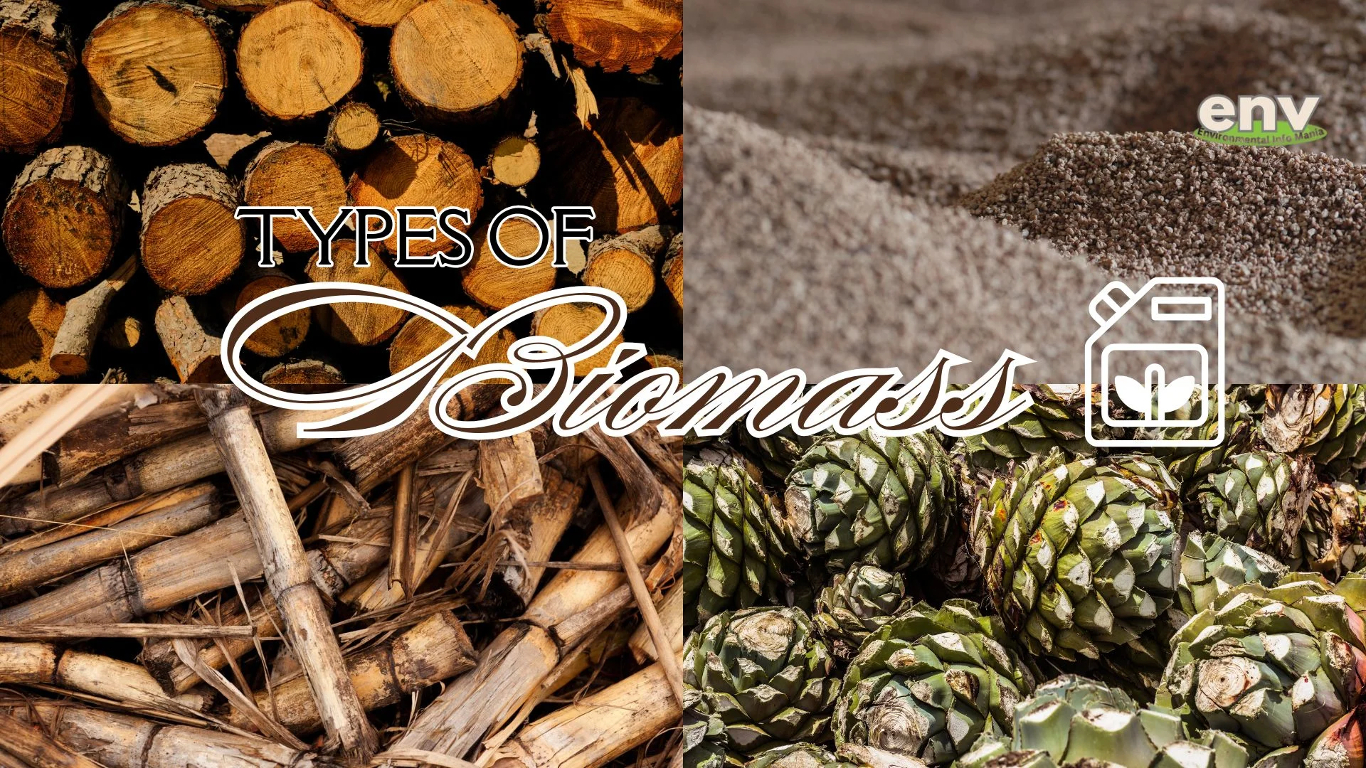 Types of Biomass