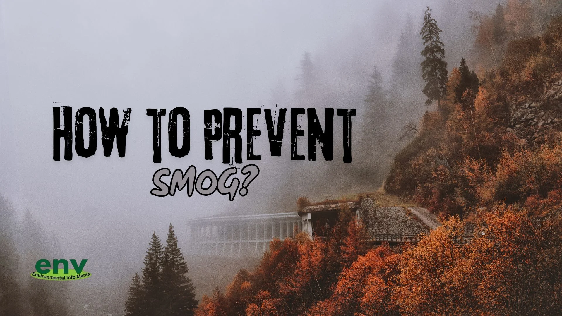 How to Prevent Smog