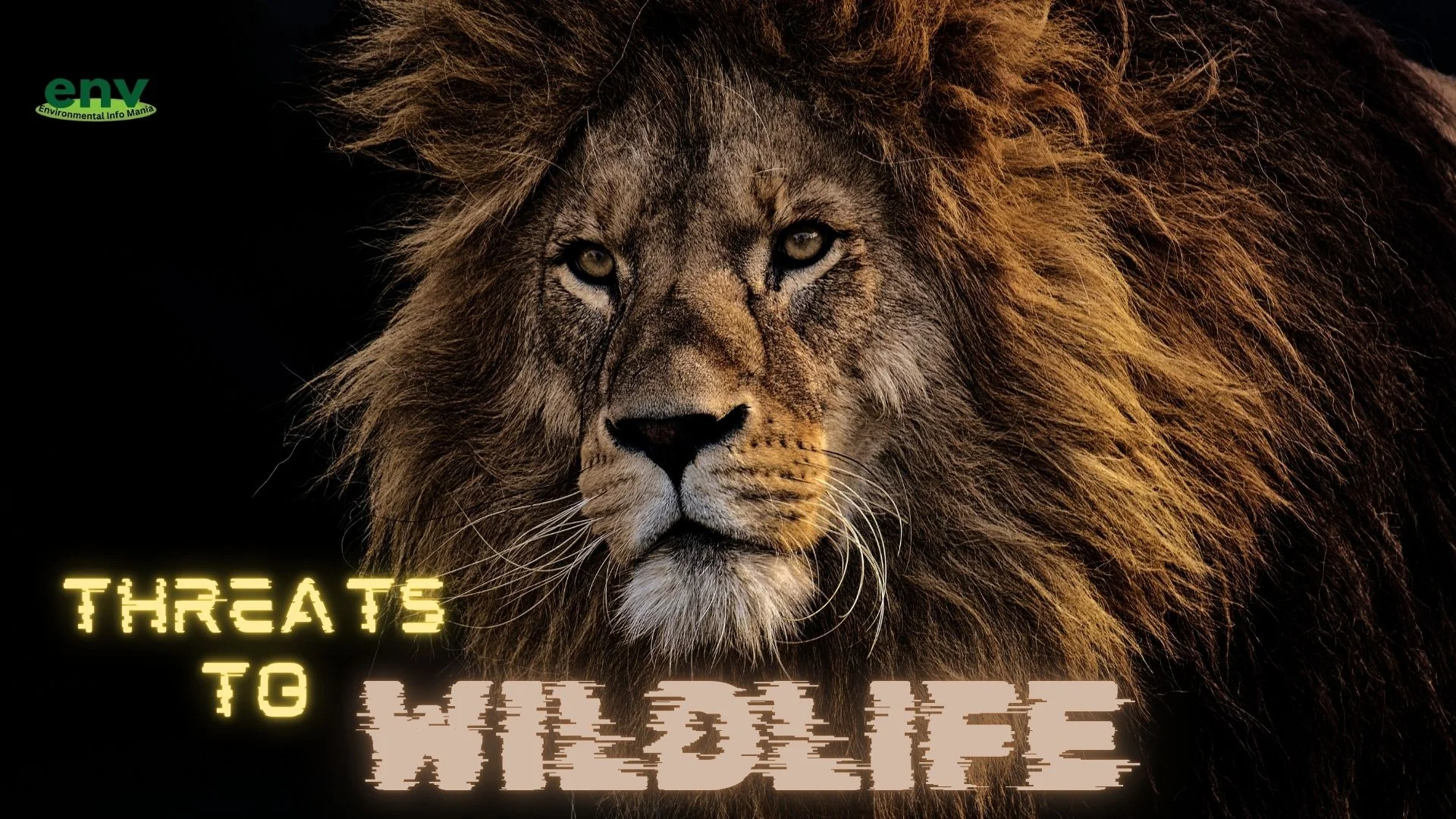 Threats to Wildlife