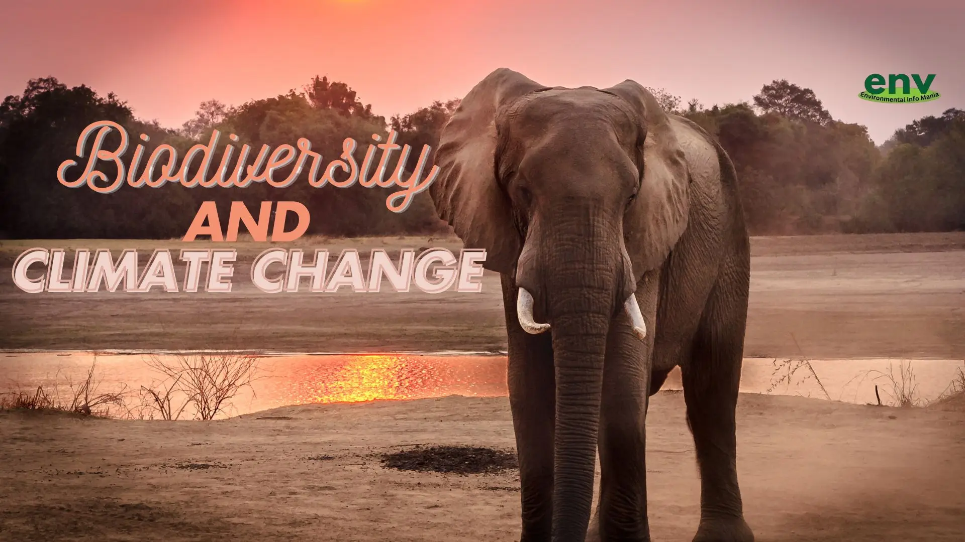 Biodiversity and Climate Change