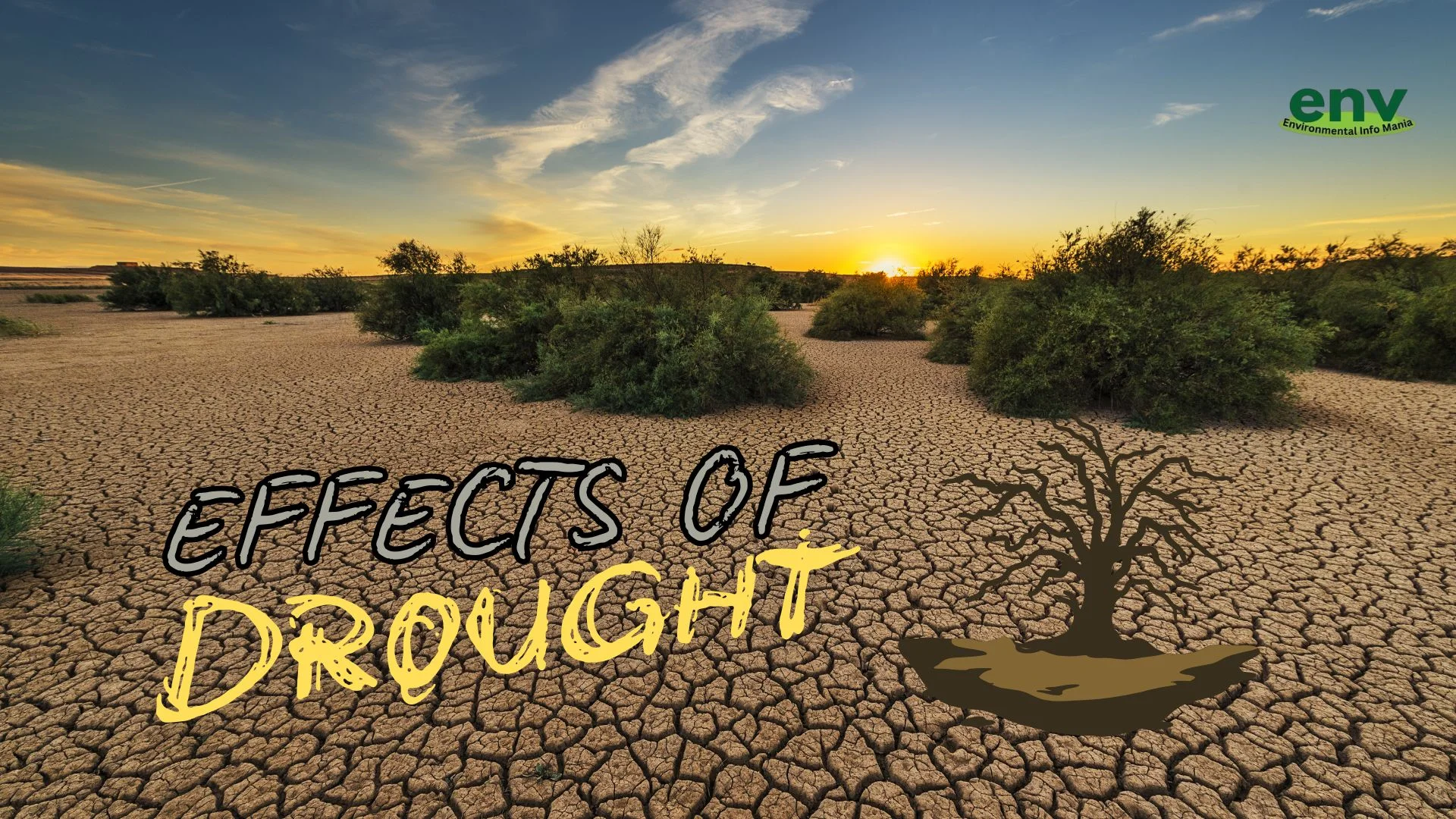 Effects of Drought