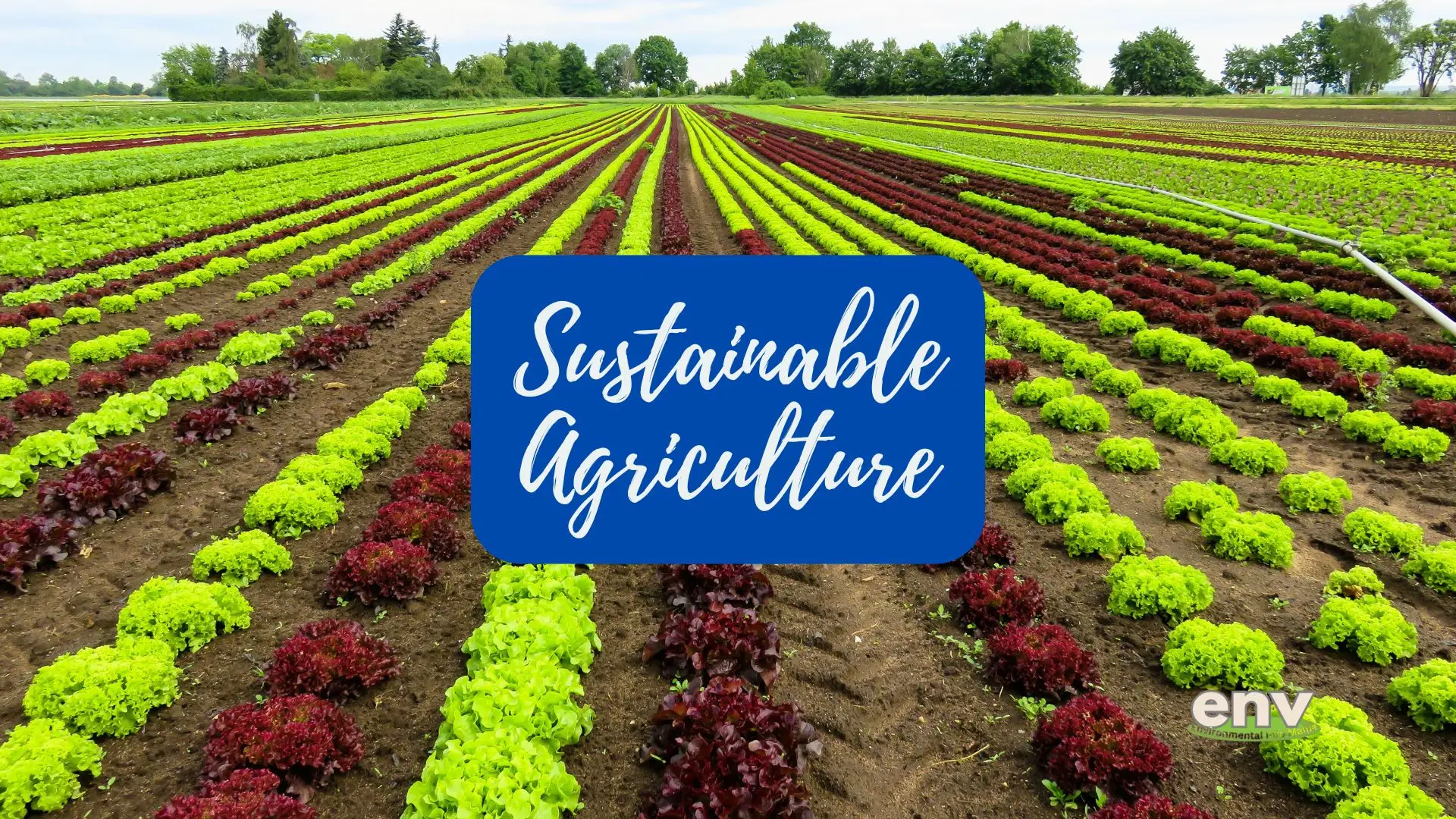 Importance of Sustainable Agriculture